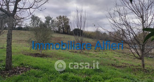 Terreno agricolo in commerciale in Via Torre Alfieri 5