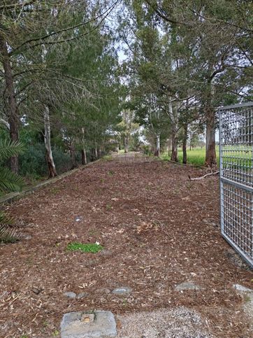 Terreno agricolo in commerciale in Strada Comunale Grandi Corti le Rene