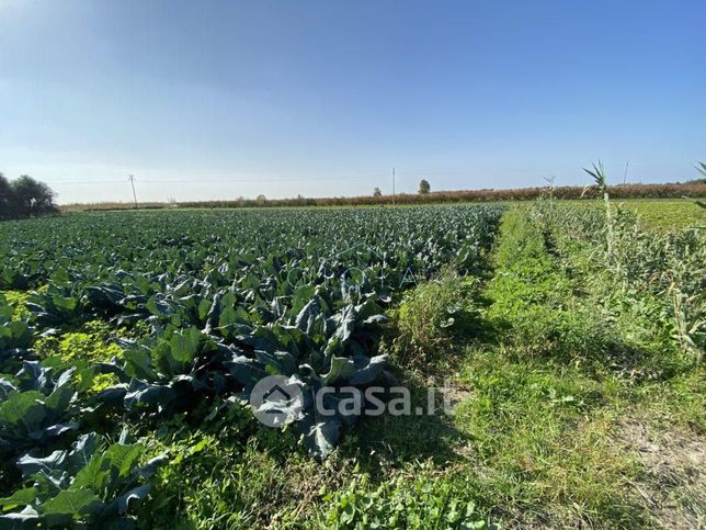 Terreno agricolo in commerciale in Via Stazione
