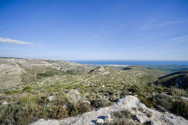 Terreno agricolo in commerciale in Contrada San Elia