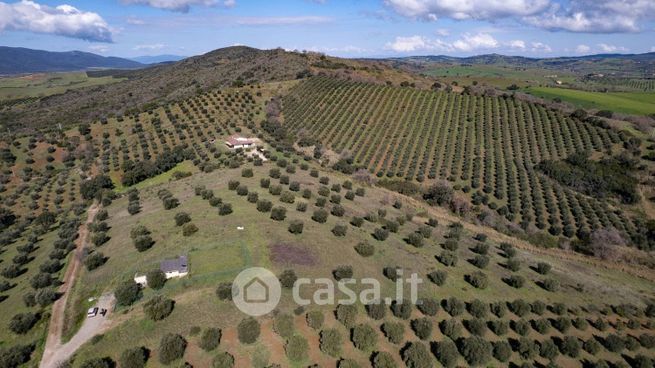Terreno agricolo in commerciale in 