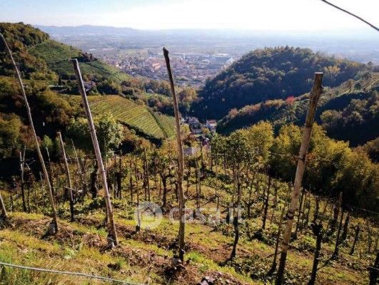 Terreno agricolo in commerciale in Borgata Grotta