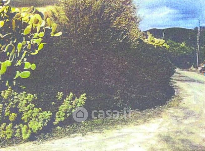Terreno agricolo in commerciale in Strada Senza Nome