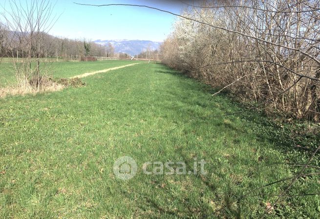 Terreno agricolo in commerciale in Via Campagnola