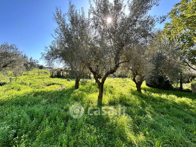 Terreno agricolo in commerciale in Via delle Grotte 23