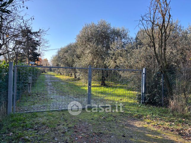 Terreno agricolo in commerciale in 