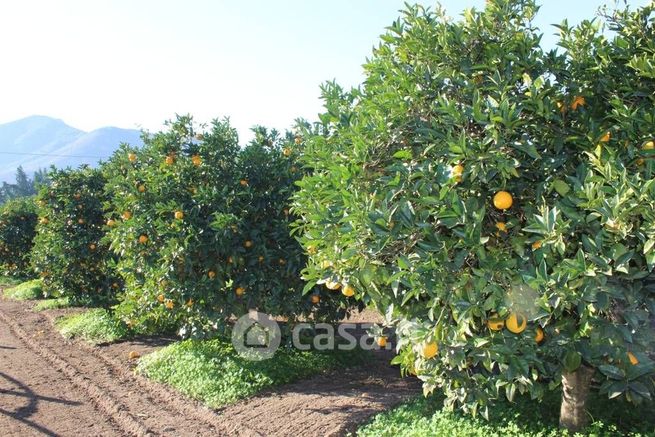 Terreno agricolo in commerciale in Via Giardini