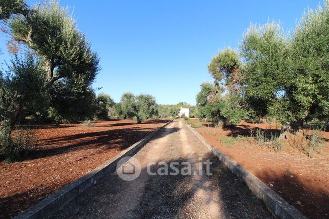 Terreno agricolo in commerciale in Contrada Cuoco