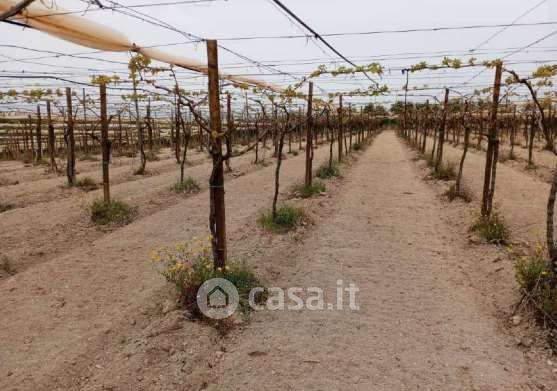 Terreno agricolo in commerciale in Strada Vicinale Lamalunga