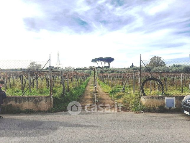 Terreno agricolo in commerciale in Via delle Cisternole