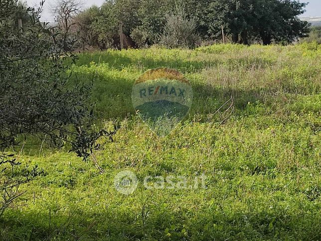 Terreno agricolo in commerciale in 