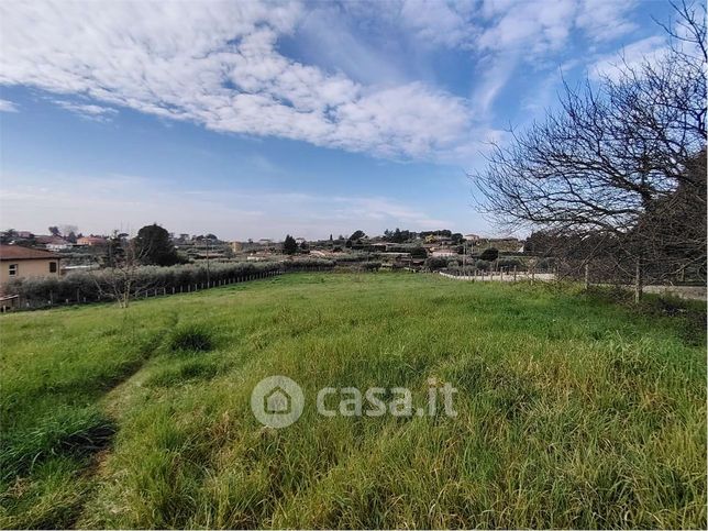 Terreno agricolo in commerciale in Via dell' Escudo 13