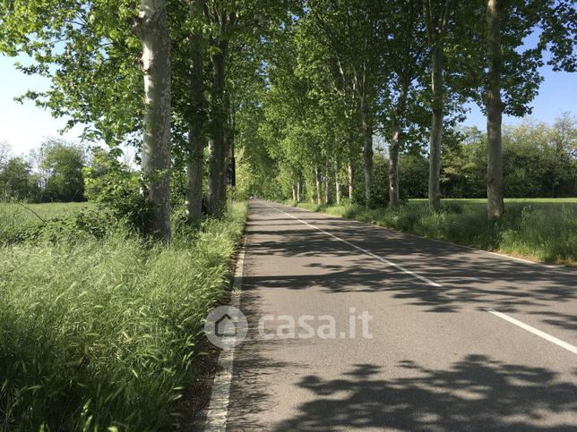 Terreno agricolo in commerciale in Viale Liguria 110