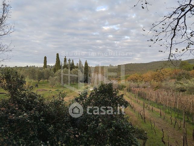 Terreno agricolo in commerciale in Via delle Fattorie 27