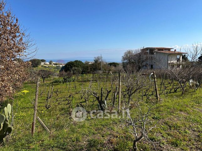 Terreno agricolo in commerciale in Via Paolo Alatri