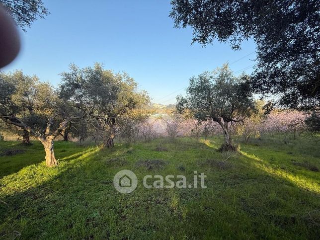 Terreno agricolo in commerciale in Via Sant'Angelo