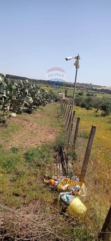 Terreno agricolo in commerciale in