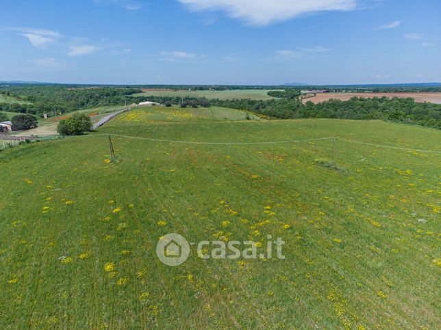 Terreno agricolo in commerciale in Strada provinciale Vetrallese 10 .200