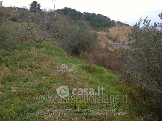 Terreno edificabile in residenziale in Via di Monte