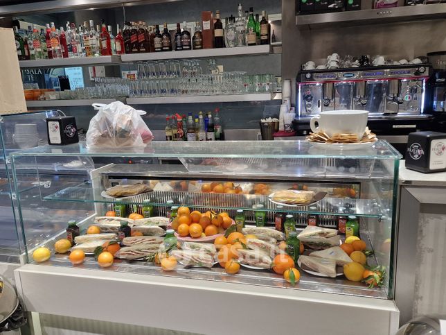 Attivitã /licenza (con o senza mura) in commerciale in Via dei Narcisi