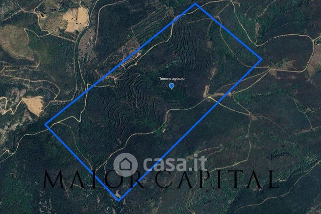 Terreno agricolo in commerciale in Strada Senza Nome