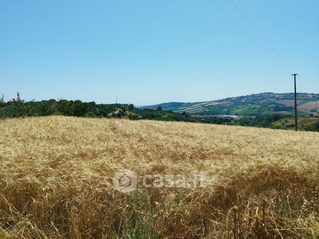 Terreno agricolo in commerciale in Via Pagliarette