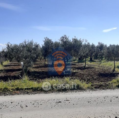 Terreno agricolo in commerciale in Contrada Belice Mare