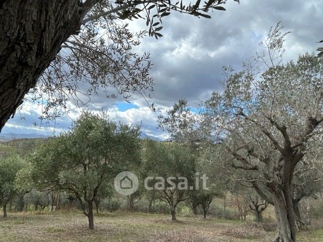 Terreno edificabile in residenziale in Strada Provinciale 7c