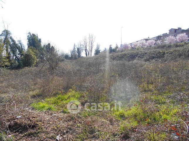 Terreno agricolo in commerciale in Viale Achille Sclavo