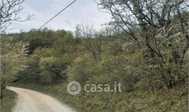 Terreno agricolo in commerciale in Via Verdella