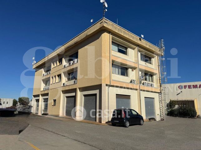 Ufficio in commerciale in Via Orazio Antinori 12 -50
