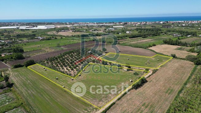 Terreno agricolo in commerciale in Contrada Favara