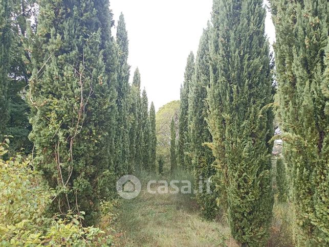 Terreno agricolo in commerciale in Via Collazzone