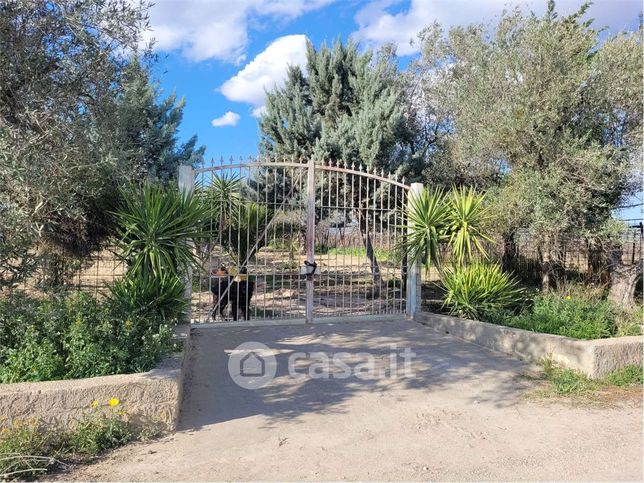 Terreno agricolo in commerciale in Strada Comunale Vecchia di Barletta