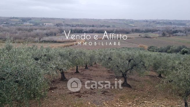 Terreno agricolo in commerciale in Contrada San Lorenzo