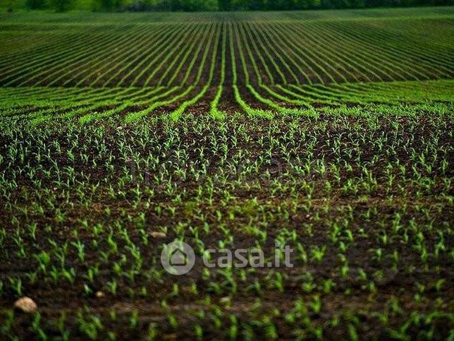 Terreno agricolo in commerciale in 