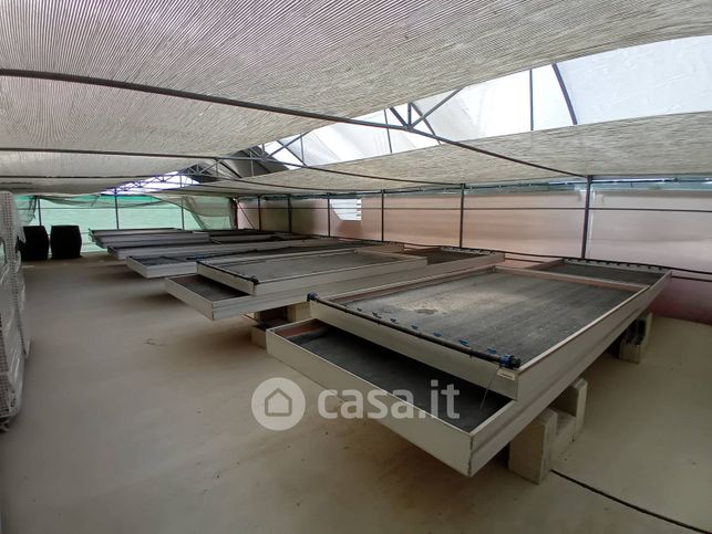 Capannone in commerciale in Strada Statale 292 Nord Occidentale Sarda
