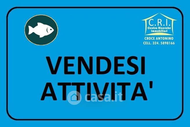 Attivitã /licenza (con o senza mura) in commerciale in 