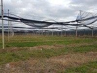 Terreno agricolo in commerciale in Via Nogara