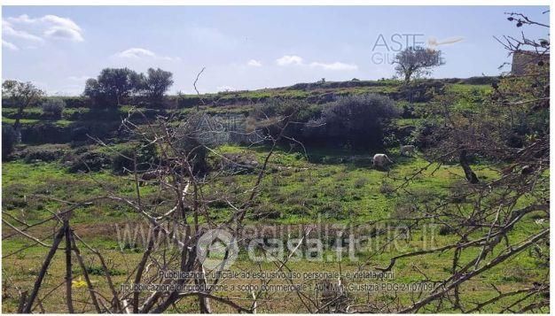 Terreno agricolo in commerciale in 