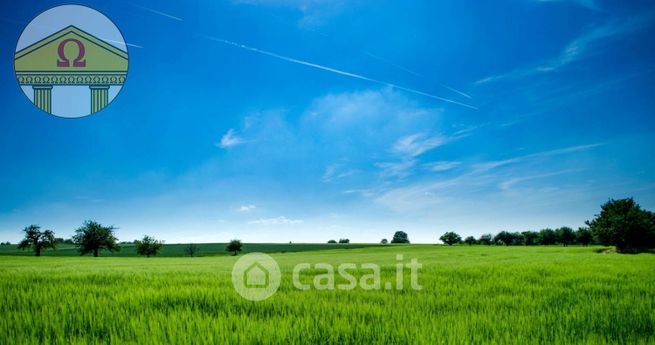 Terreno agricolo in commerciale in 