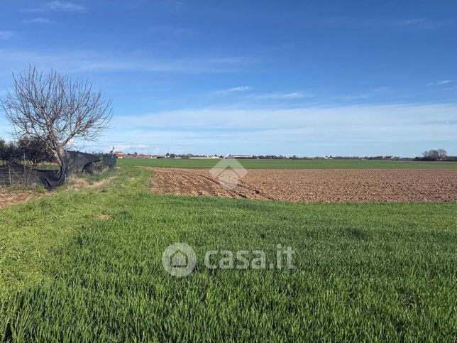 Terreno agricolo in commerciale in Via Camillo Benso Di Cavour