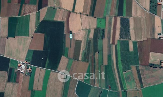 Terreno agricolo in commerciale in Strada Senza Nome 9