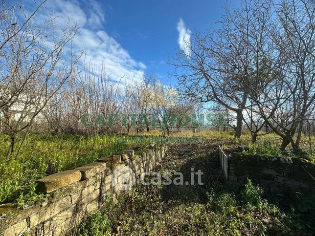 Terreno agricolo in commerciale in Via Zabatta