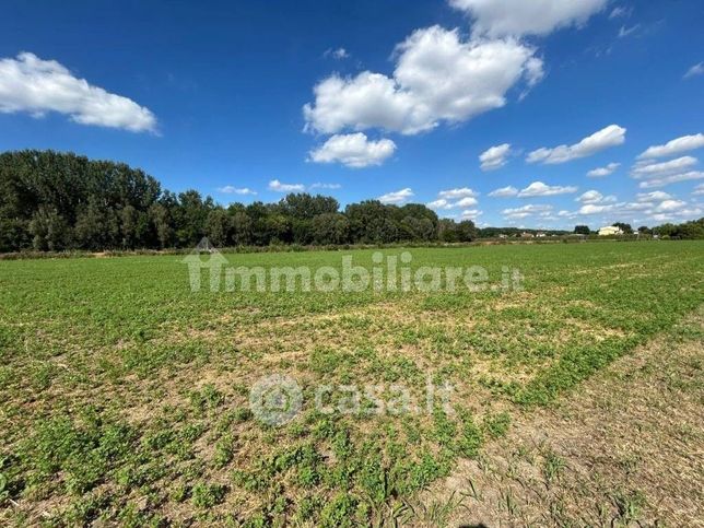 Terreno agricolo in commerciale in Via dei Partigiani 5