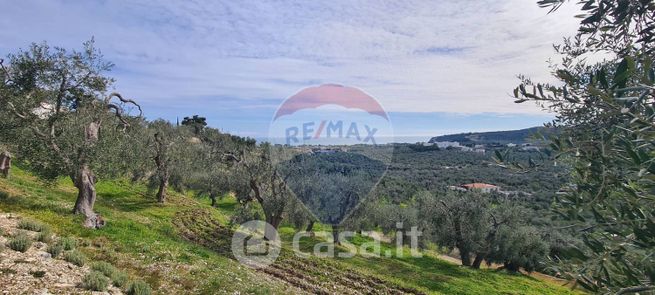 Terreno agricolo in commerciale in Contrada Marchionna