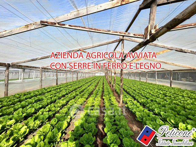Terreno agricolo in commerciale in Via Anna Carafa