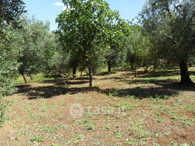 Terreno edificabile in residenziale in Strada Provinciale Itri-Sperlonga 95