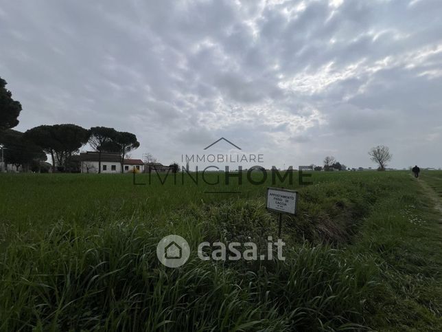 Terreno agricolo in commerciale in Via Colombarina 15