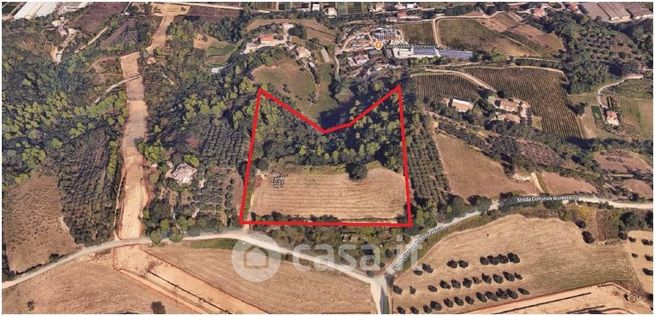 Terreno agricolo in commerciale in Strada Comunale Montesecco